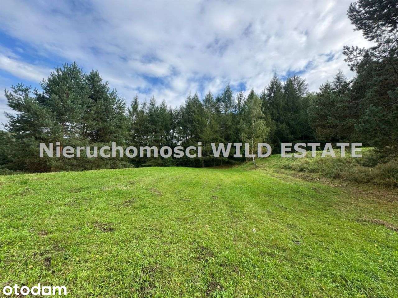 Działka, 4 728 m², Solina - Pełny obrazek: 2/10
