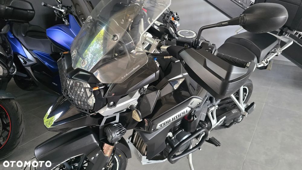 Triumph Tiger - 17