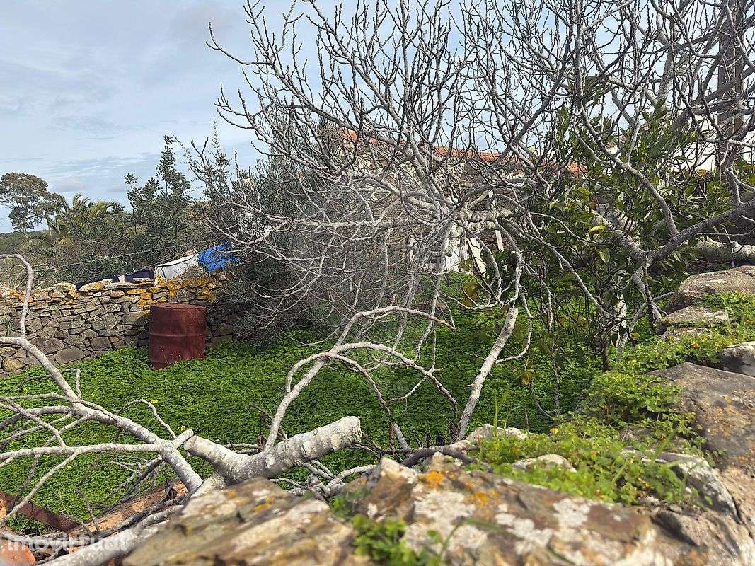 Arrumos para venda - Grande imagem: 4/12