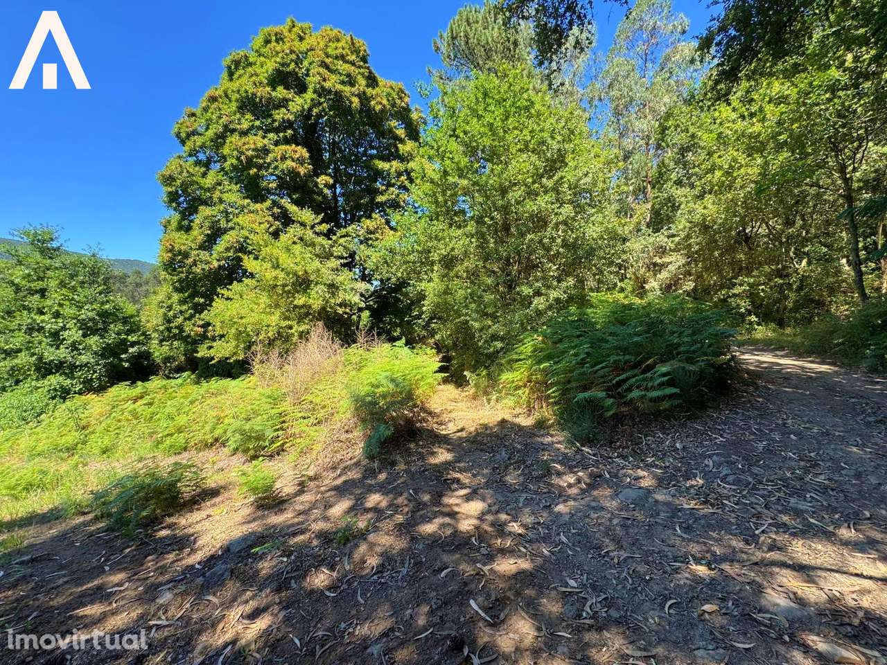 Terreno Abade de Neiva - Grande imagem: 5/9