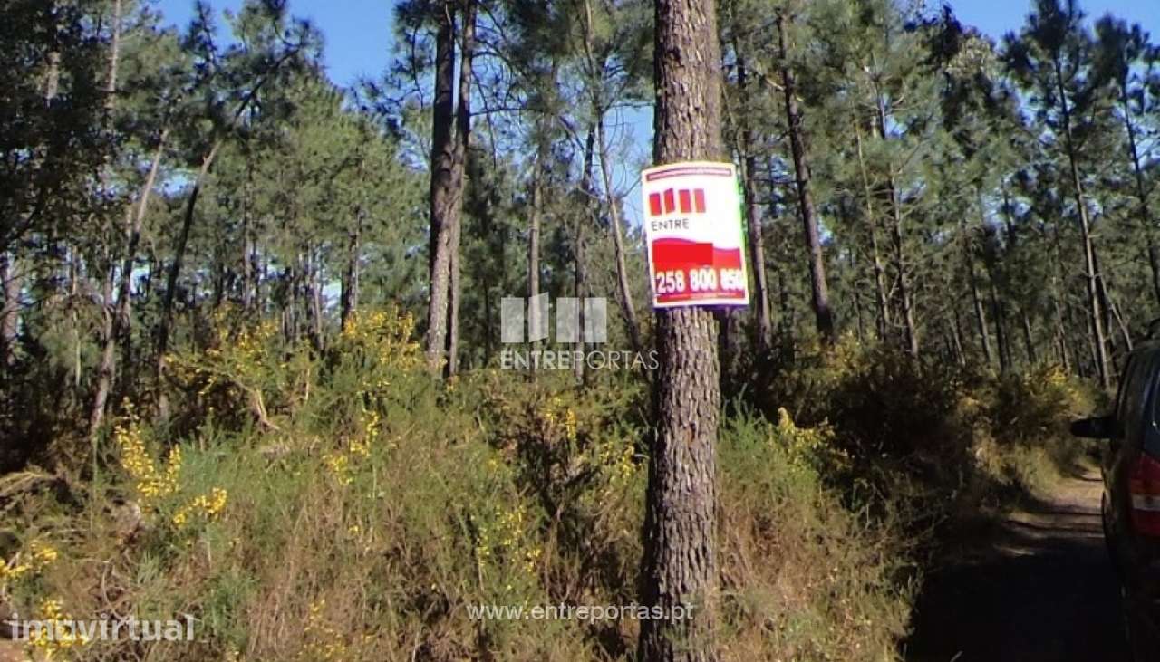 Venda de Terreno, Subportela, Viana do Castelo - Grande imagem: 4/22