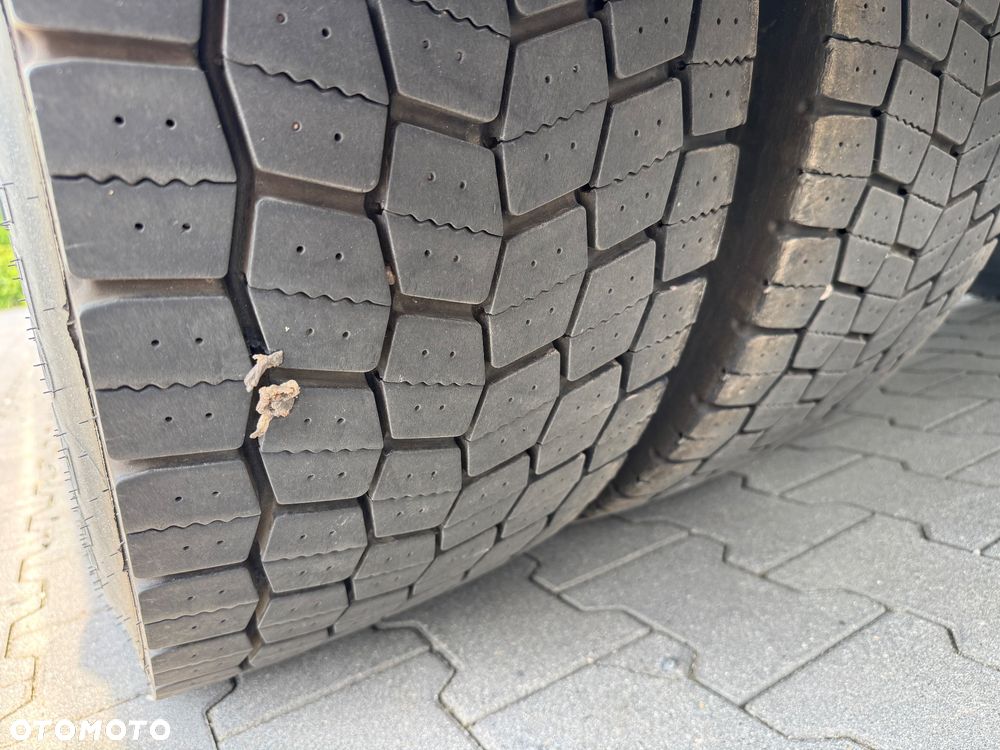 Scania P320 AdBlue bez EGR 21palet WINDA Import Francja - 23