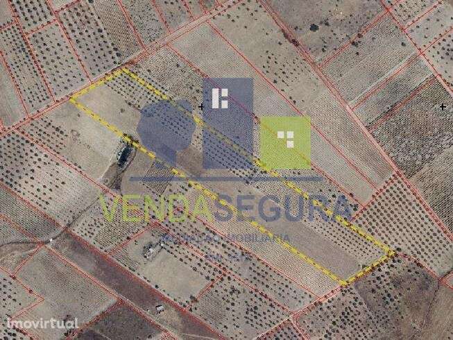 1/2 Terreno agrícola | Amareleja - Grande imagem: 2/2