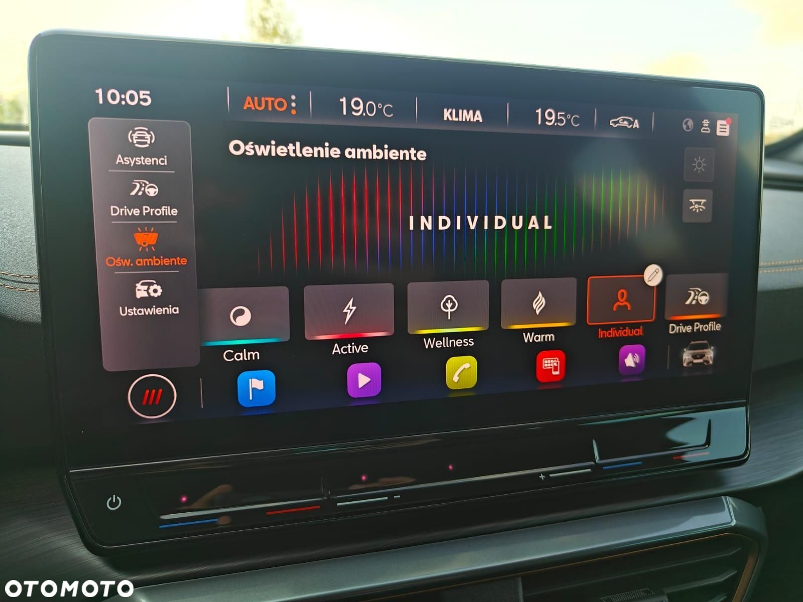 Cupra Formentor VZ 2.0 TSI 4Drive DSG - 19