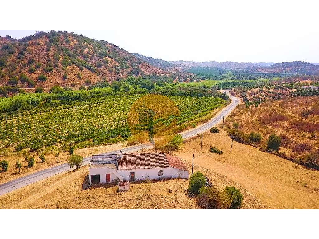 Herdade com 8,7 Hectares - Excelente Localização - Grande imagem: 3/48