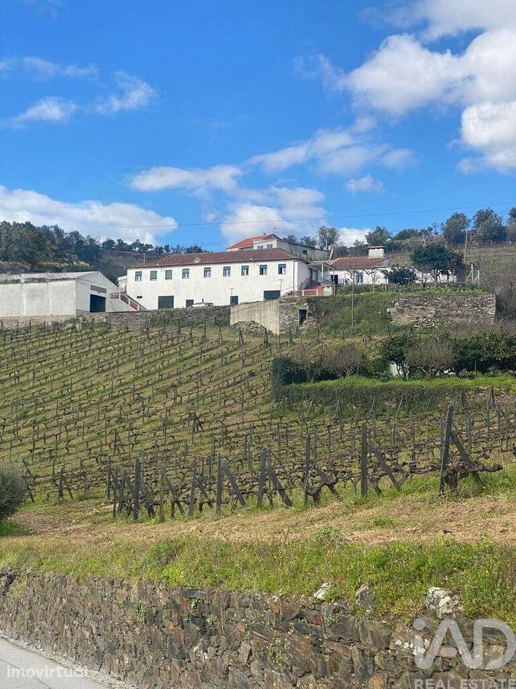 Quinta T3 em Fontelas de 1020,00 m2 - Grande imagem: 3/30