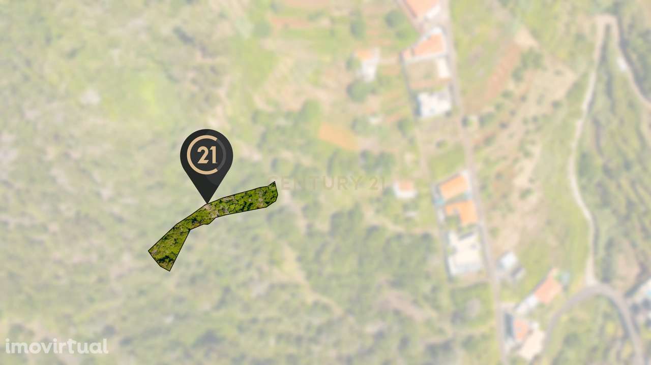 Terreno Agrícola de 850 m2 - Eiras, Santa Cruz, Madeira - Grande imagem: 3/11