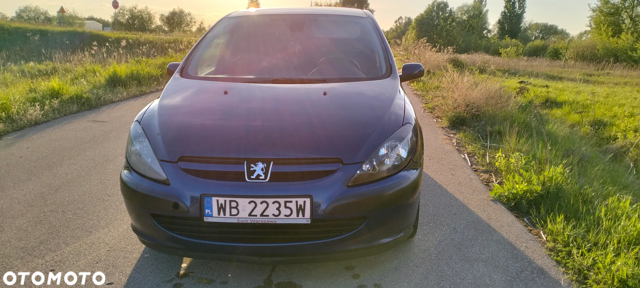 Peugeot 307 - 15