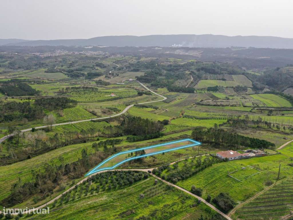 Terreno para construção em Montes, Alcobaça - Grande imagem: 2/4