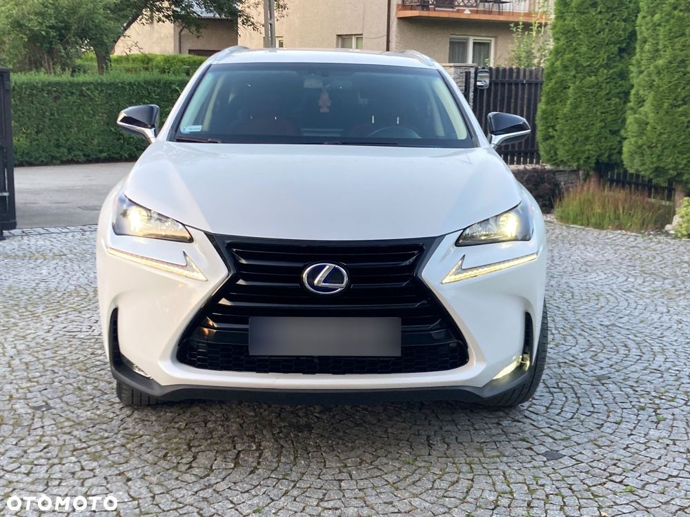 Lexus NX 300h Elite AWD - 9