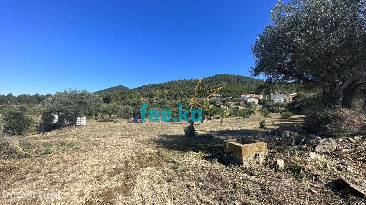 Quintinha em Monfortinho - Grande imagem: 3/36