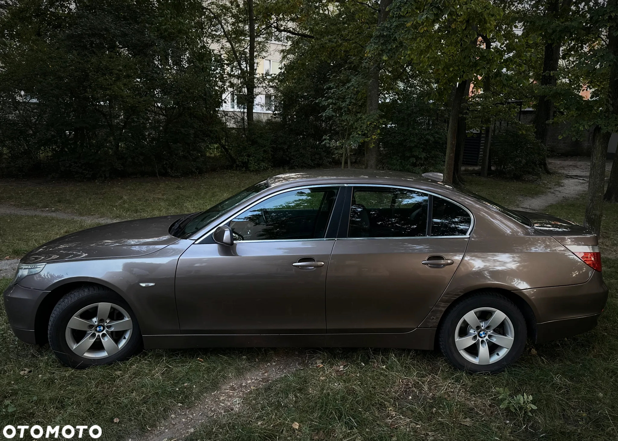 BMW Seria 5 525i - 7