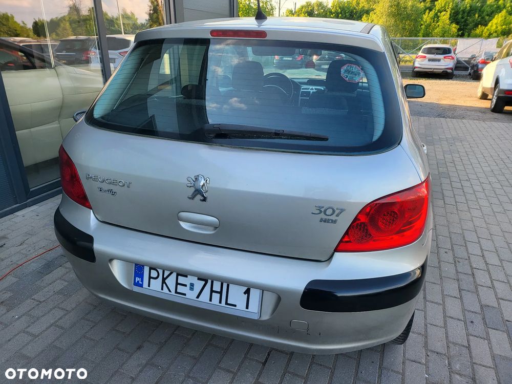Peugeot 307 1.6 HDi - 19