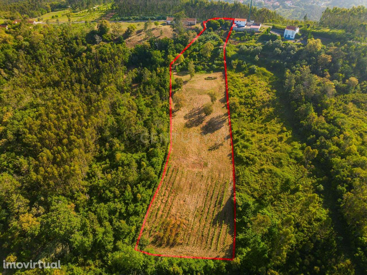 Armazém e Terreno rústico | Vidais | Caldas da Rainha - Grande imagem: 3/14