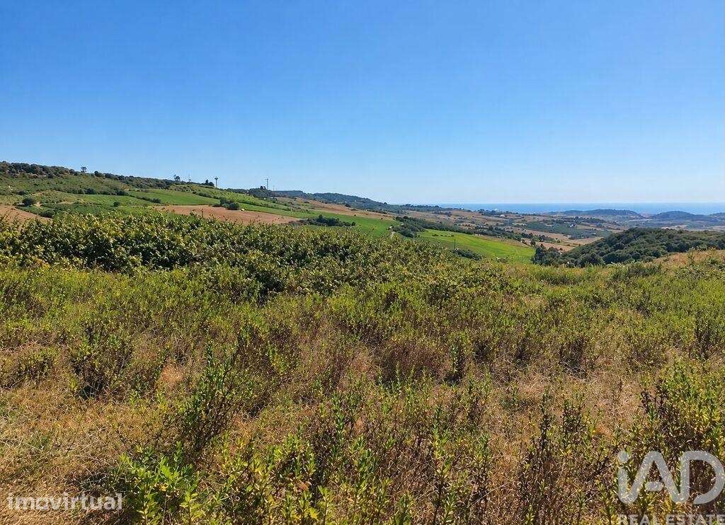 Terreno misto em Arruda dos Vinhos - Grande imagem: 2/2