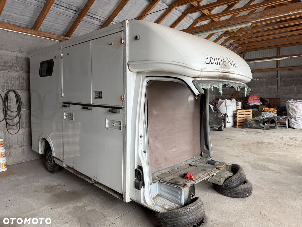 Renault Master, koniowóz - 9