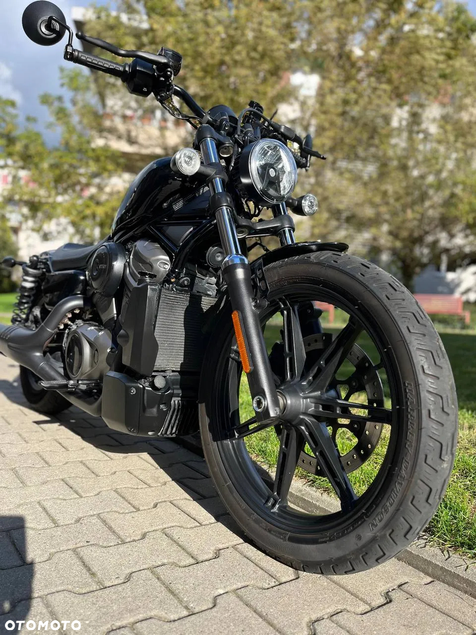 Harley-Davidson Sportster Nightster 975 - 33