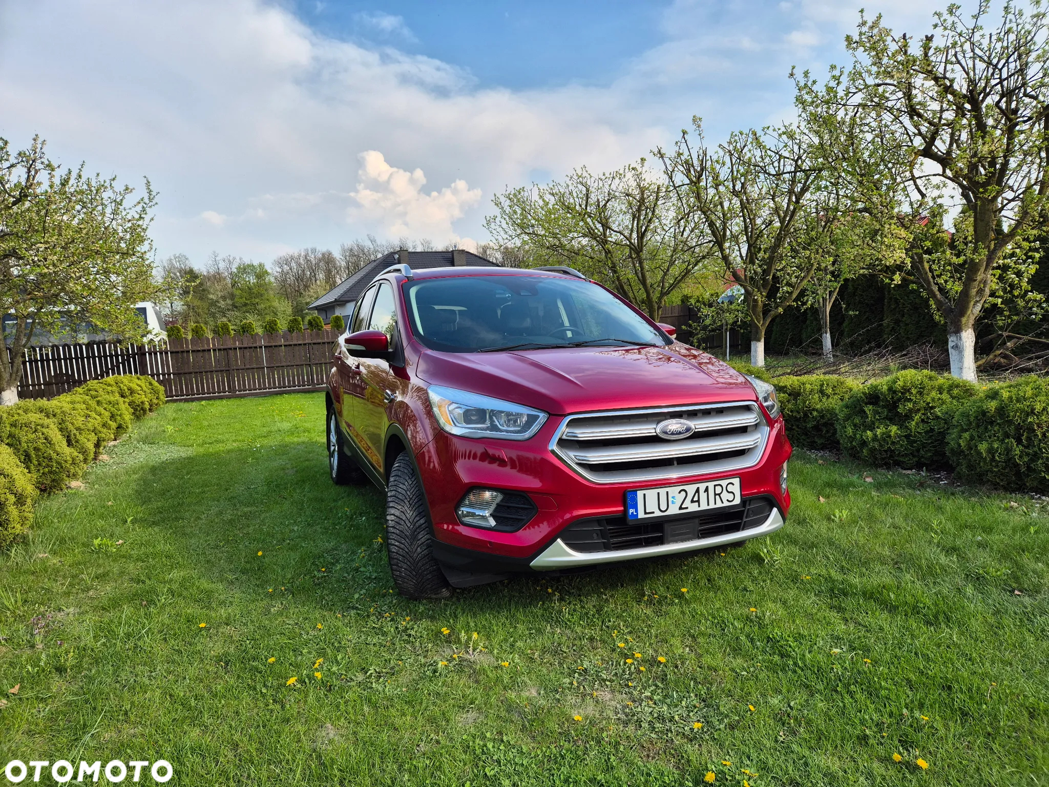 Ford Escape 2.0 EcoBoost AWD Titanium - 6