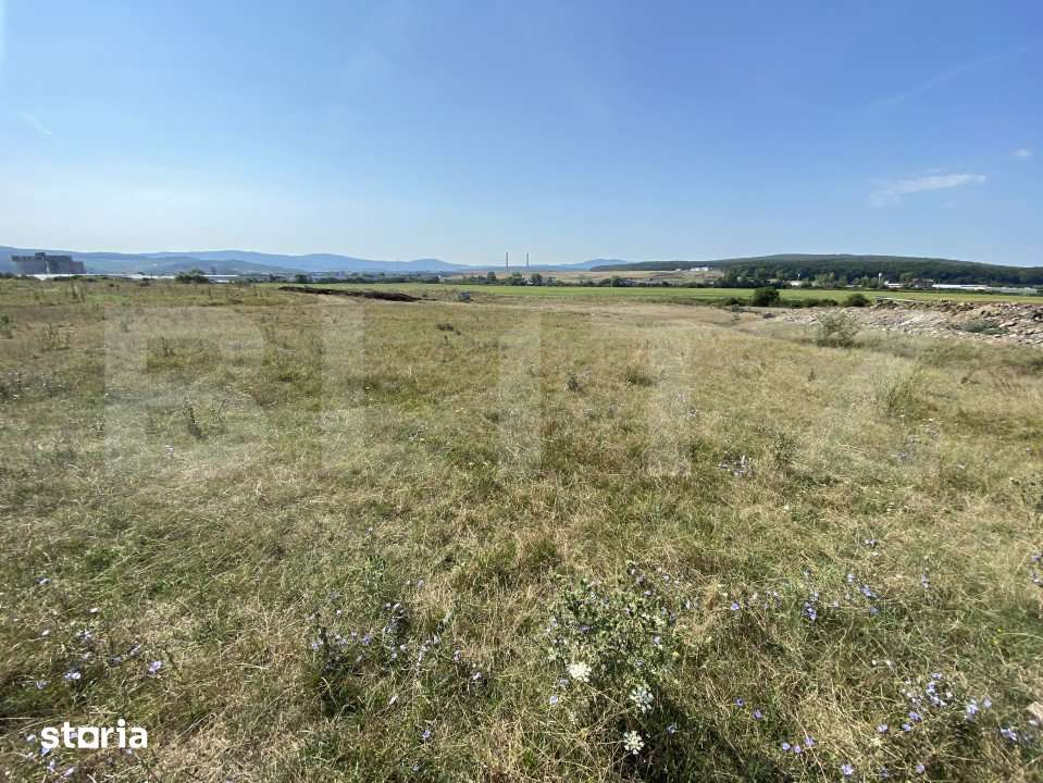 Teren extravilan Criseni, 3800 mp - Imagine principală: 4/5