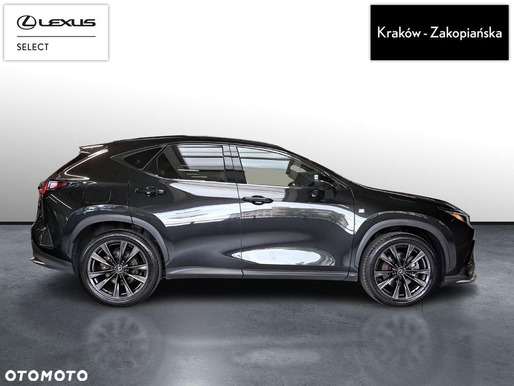Lexus NX - 6