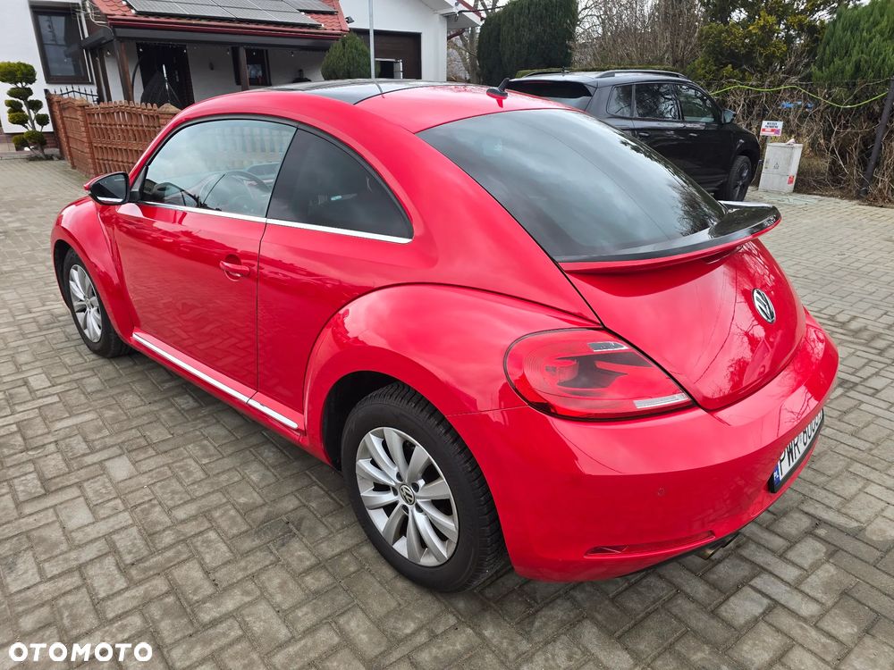 Volkswagen Beetle - 5