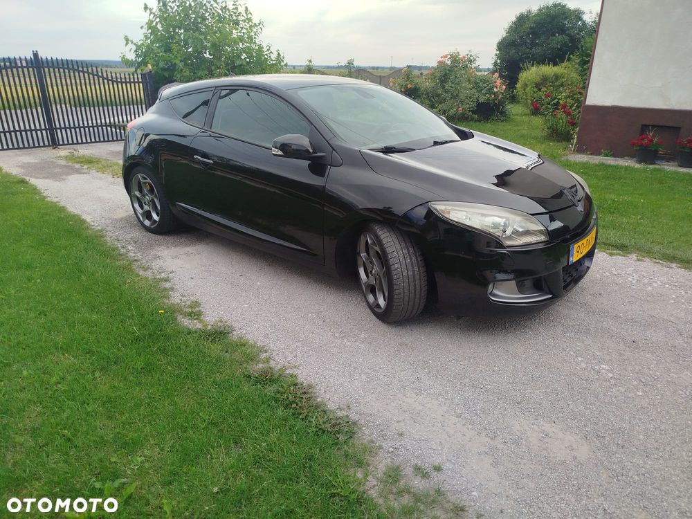 Renault Megane 2.0 16V TCE GT - 15