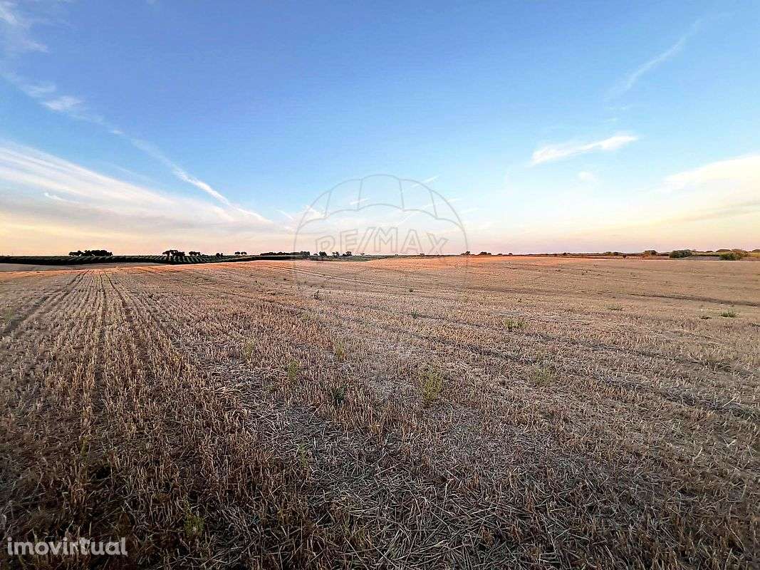 Terreno  para venda - Grande imagem: 5/15