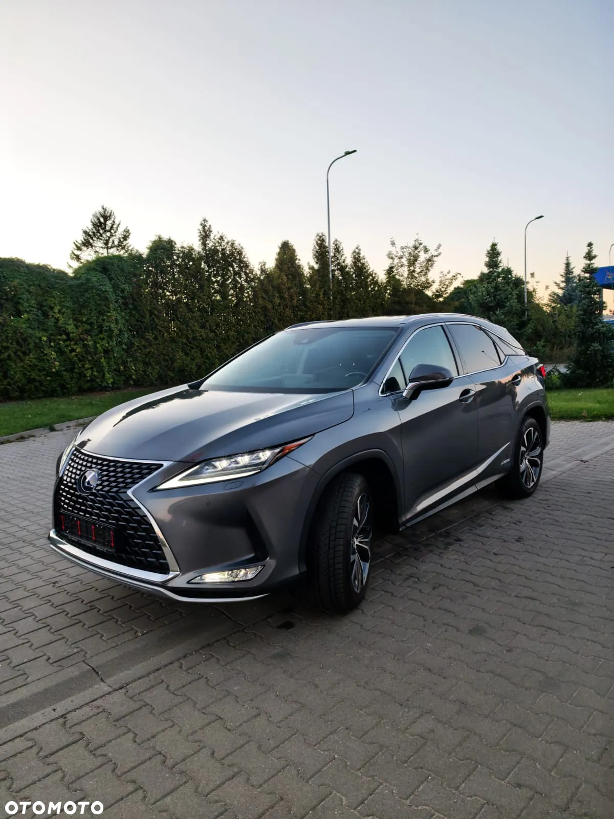 Lexus RX 450h (hybrid) Executive Line - 8
