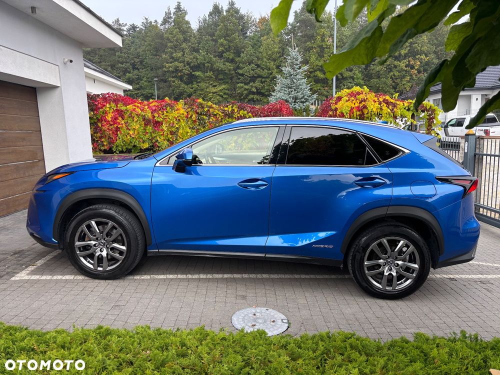 Lexus Nx 2017 photo 2