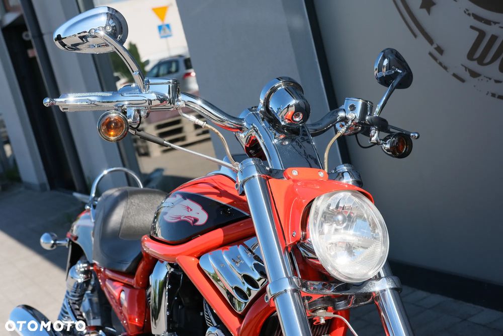 Harley-Davidson Softail V-Rod - 9