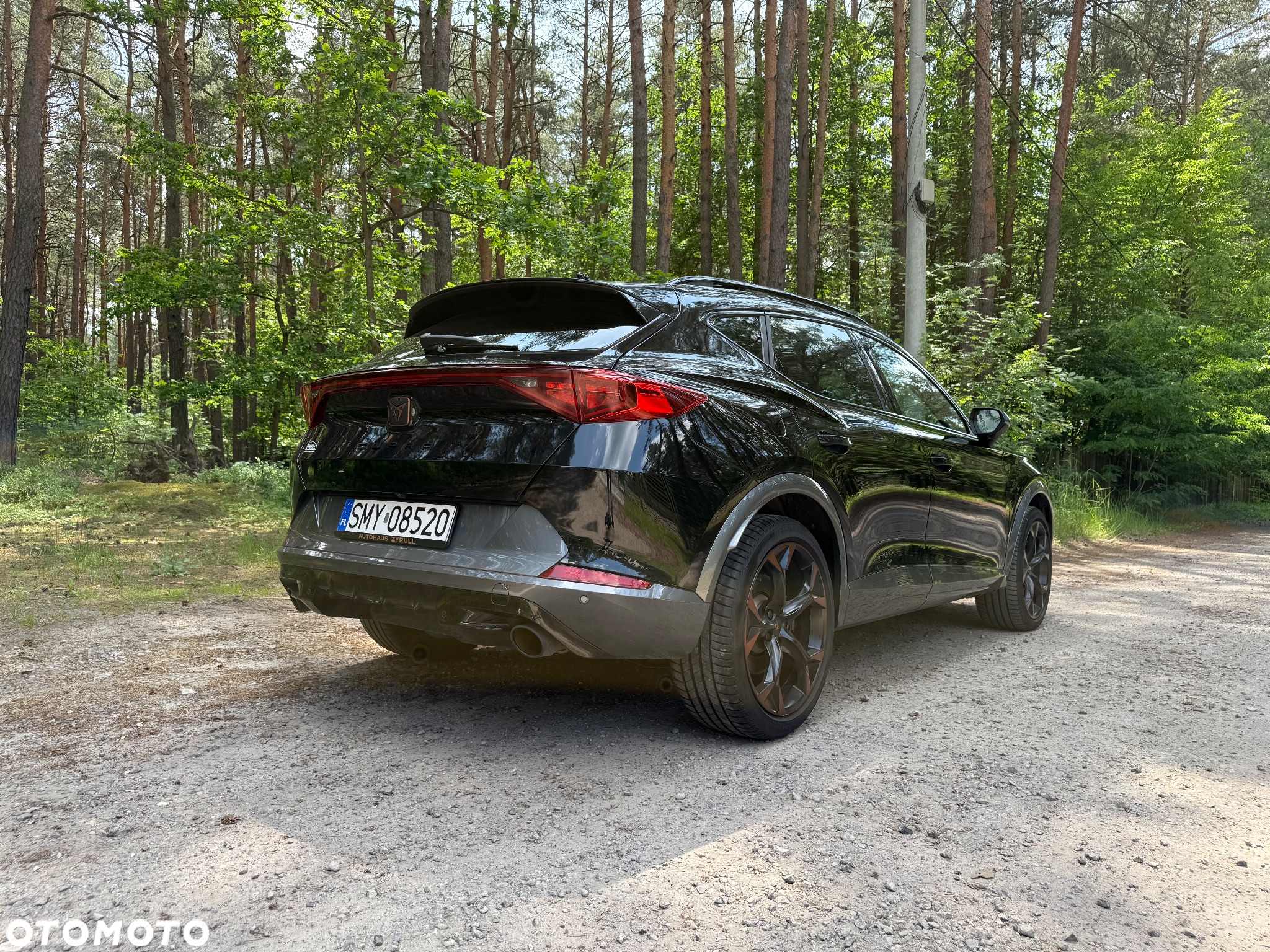 Cupra Formentor 2.0 TSI VZ DSG - 20