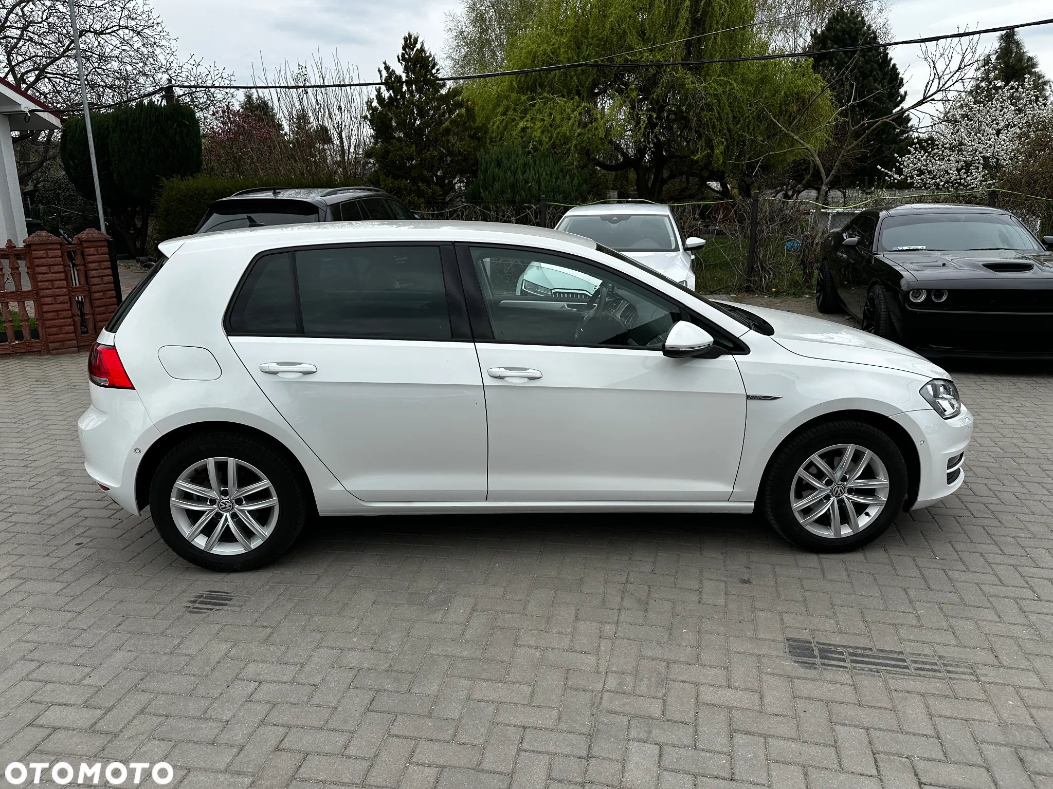 Volkswagen Golf - 38