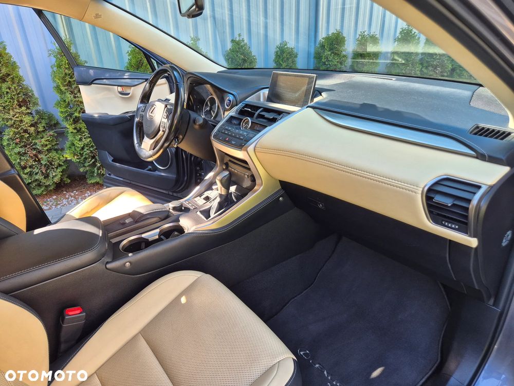 Lexus NX 300h Business Edition AWD - 23