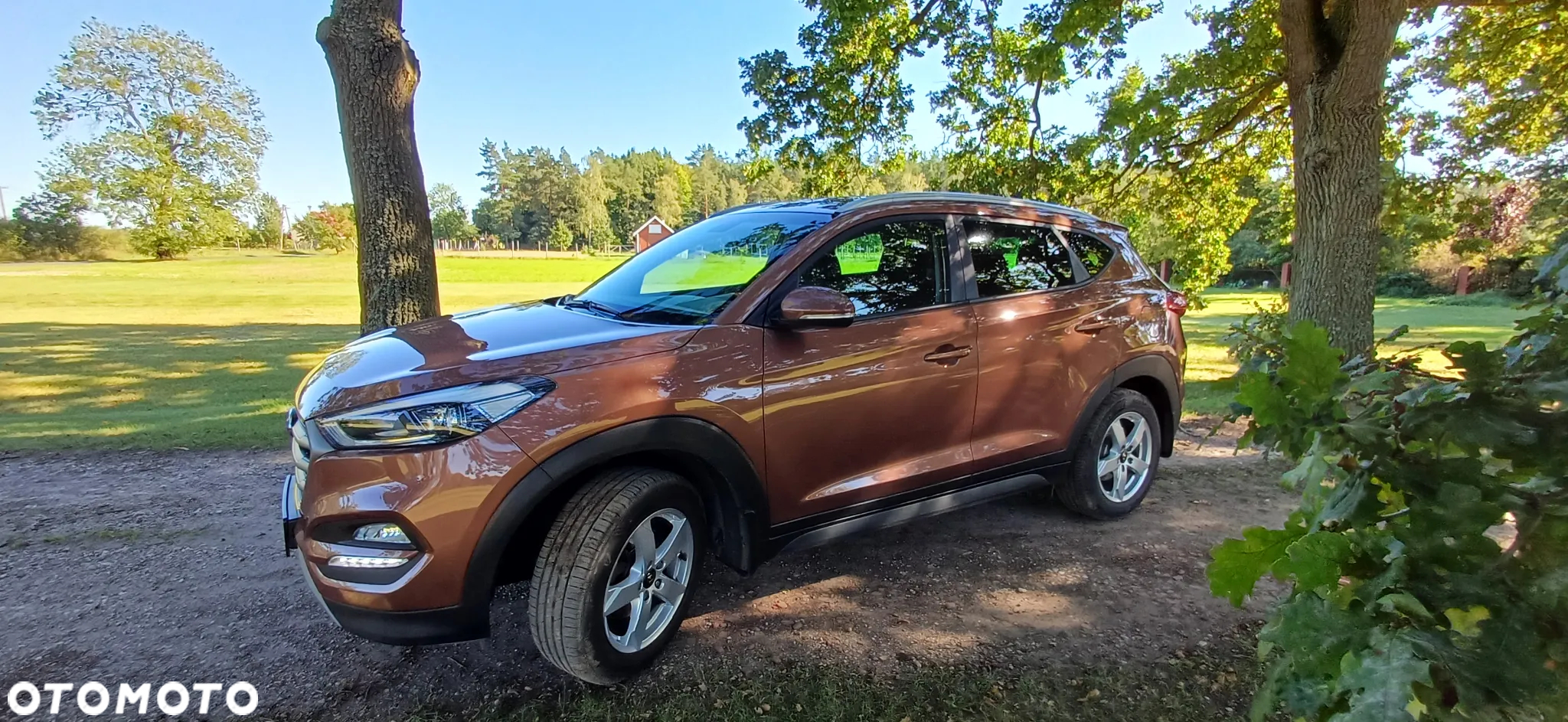 Hyundai Tucson 1.6 GDI BlueDrive Comfort 2WD - 14