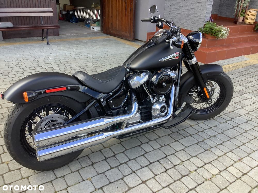 Harley-Davidson Softail - 6