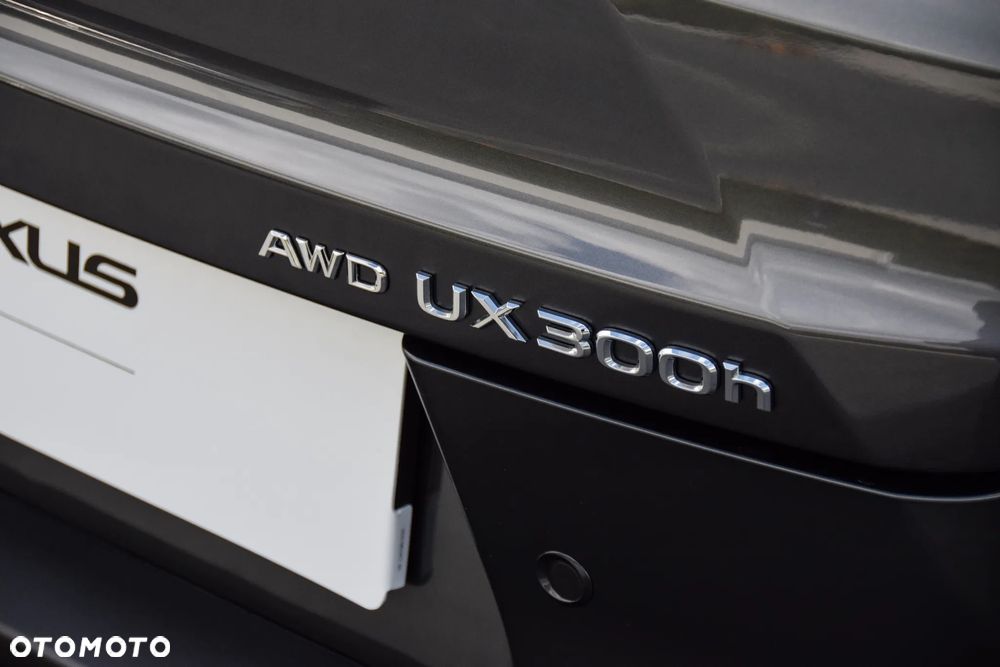 Lexus UX ver-300h-f-sport-design-awd - 18
