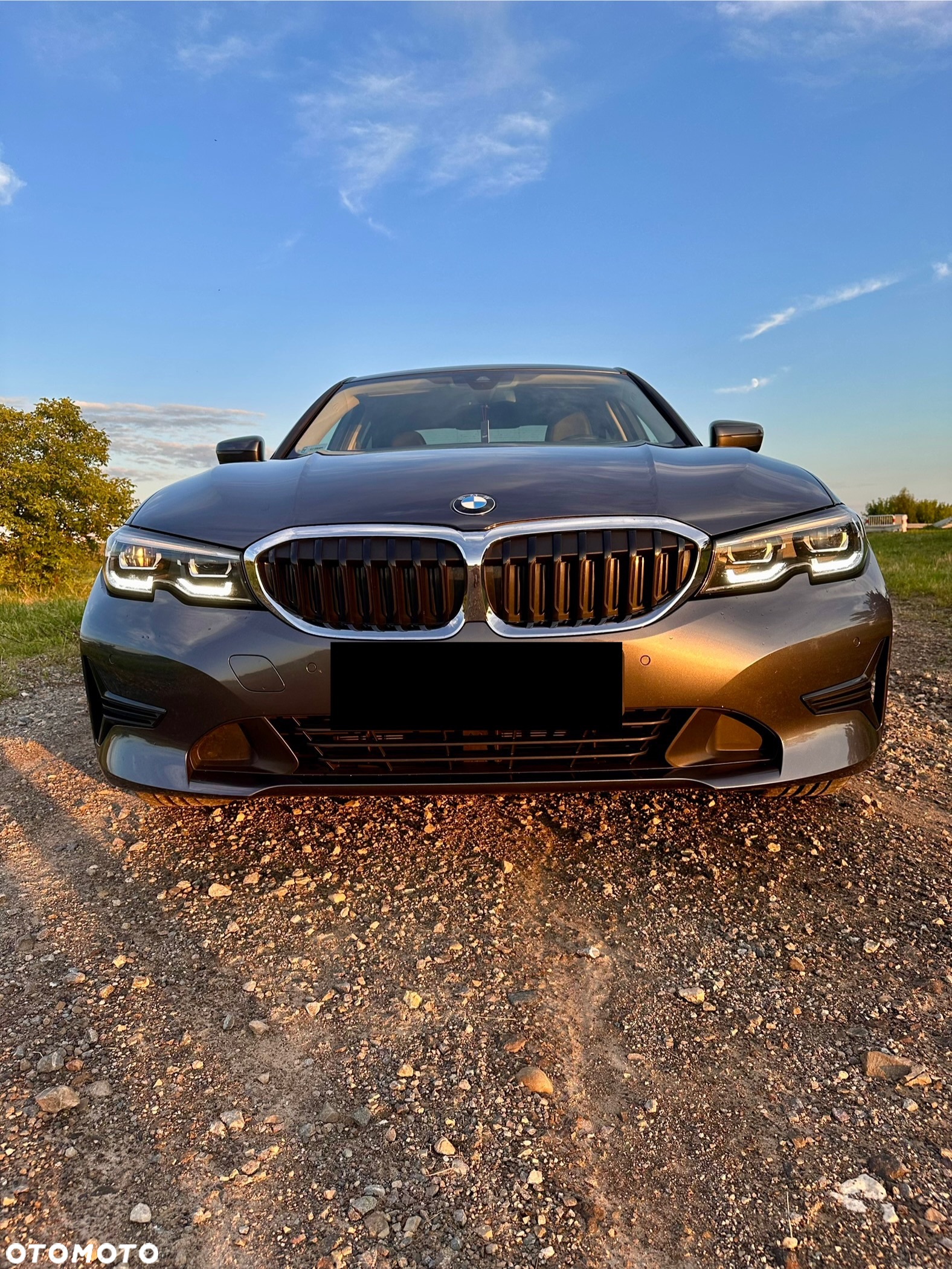 BMW Seria 3 330i xDrive Advantage - 6