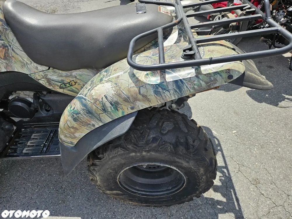 Kawasaki Brute Force - 15