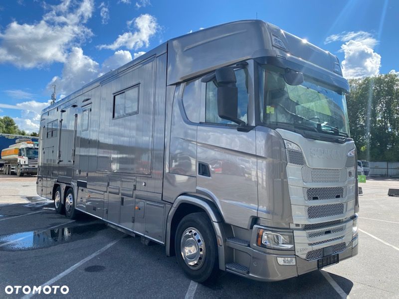 Scania S500 STX Koniowóz, 2xPOP OUT i POP UP. - 4