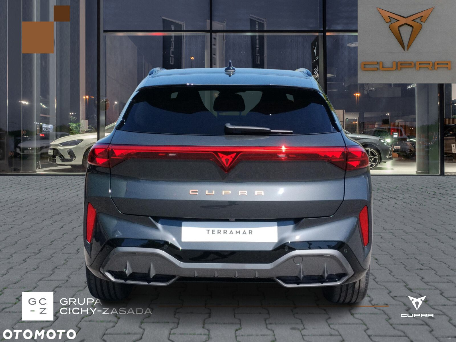 Cupra Terramar 2.0 TSI 4Drive DSG - 4