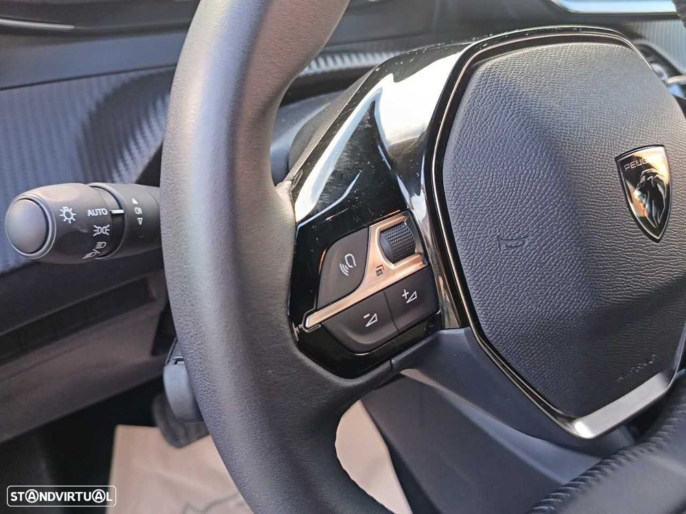 Peugeot 2008 - 14