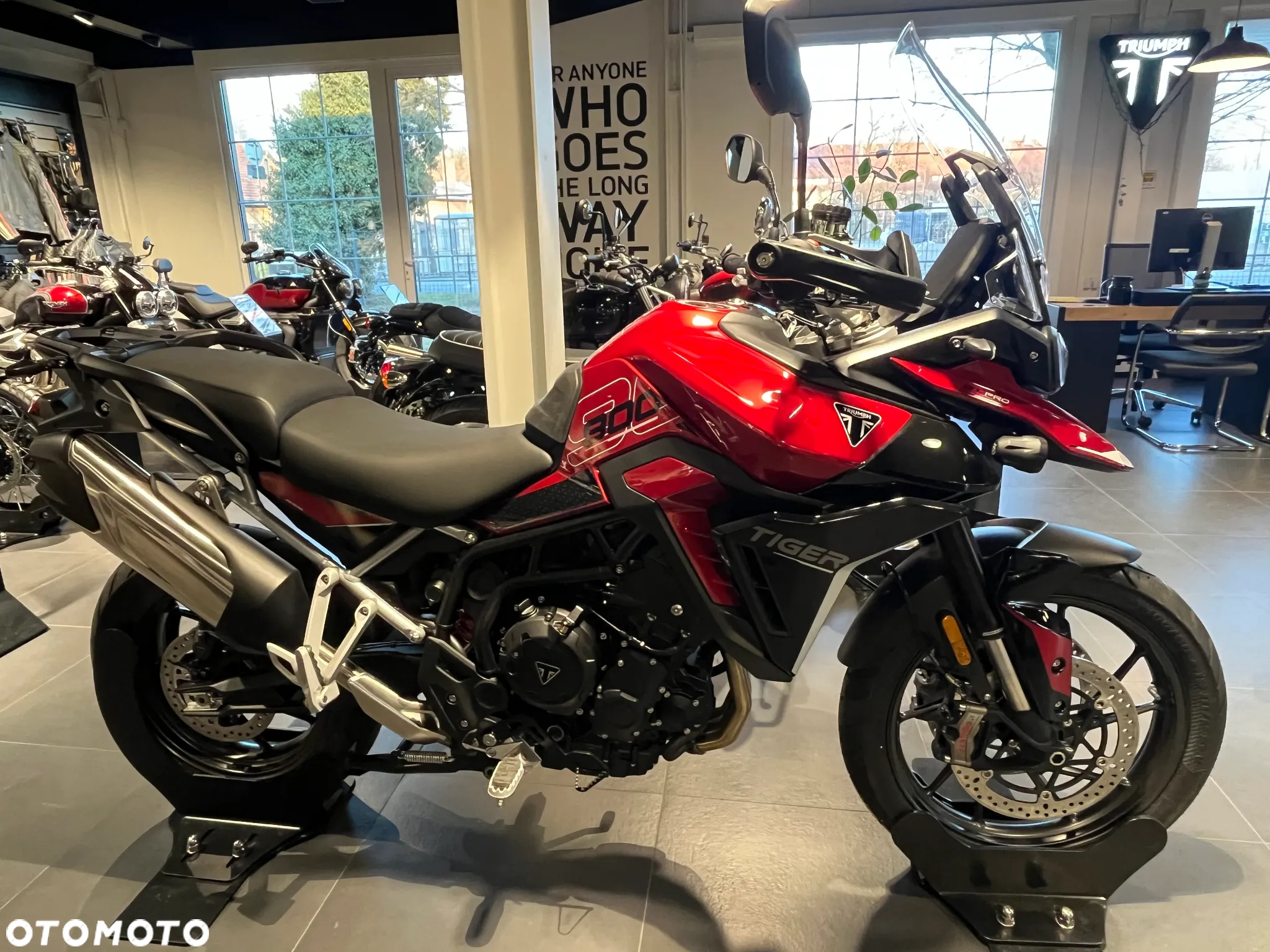 Triumph Tiger