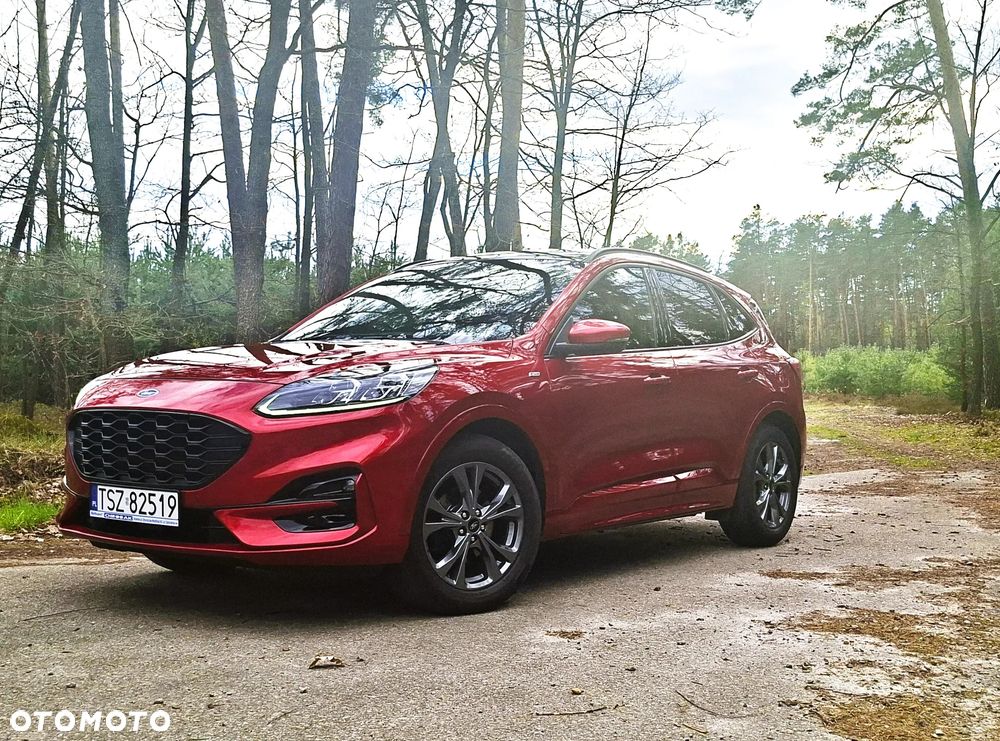 Ford Kuga 2.0 EcoBlue AWD ST-Line - 2