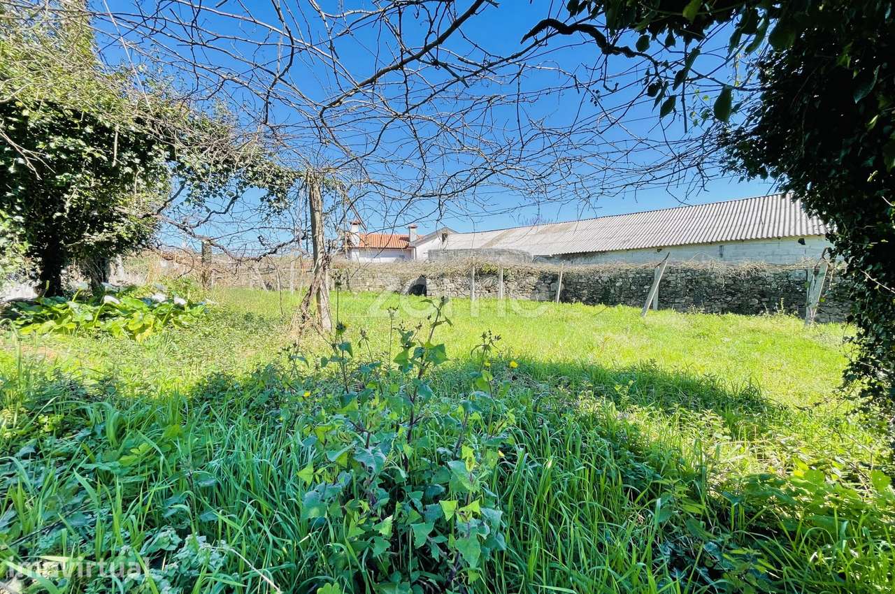 Terreno Agrícola Gondifelos - Grande imagem: 3/11