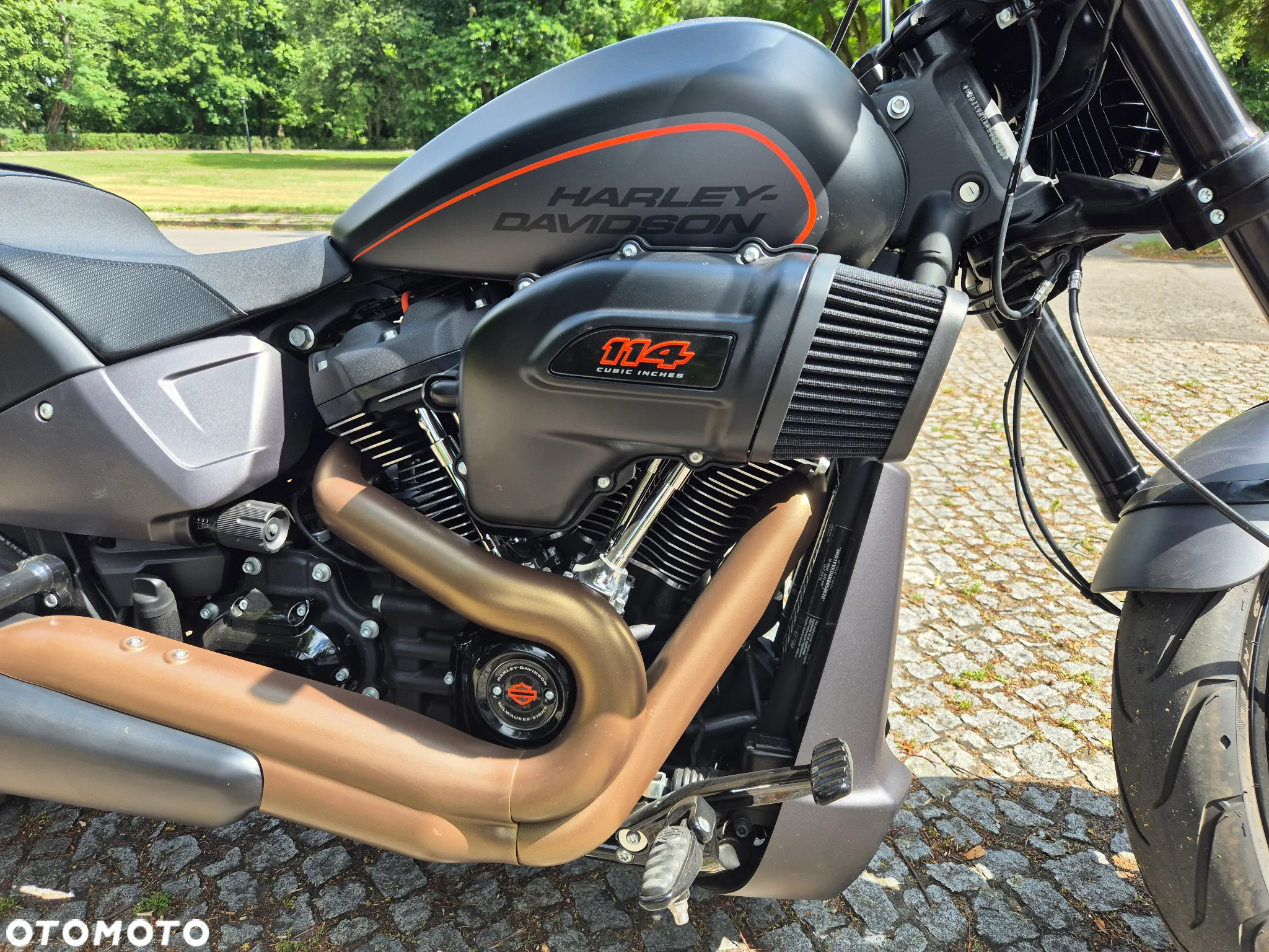 Harley-Davidson Softail FXDR - 7