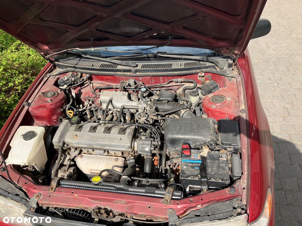 Toyota Corolla - 19