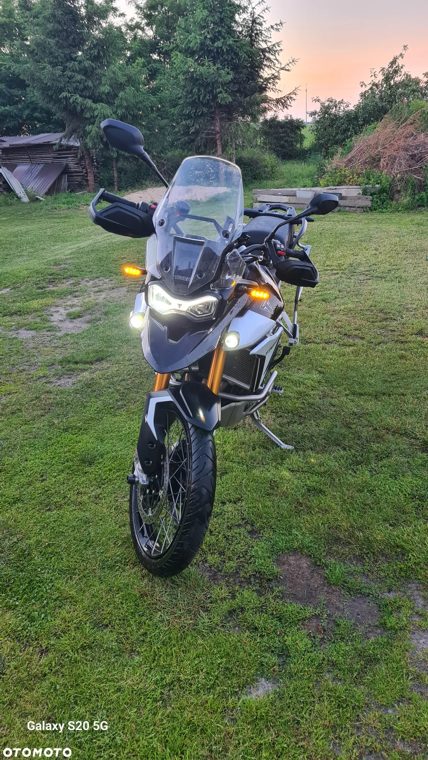 Triumph Tiger - 10