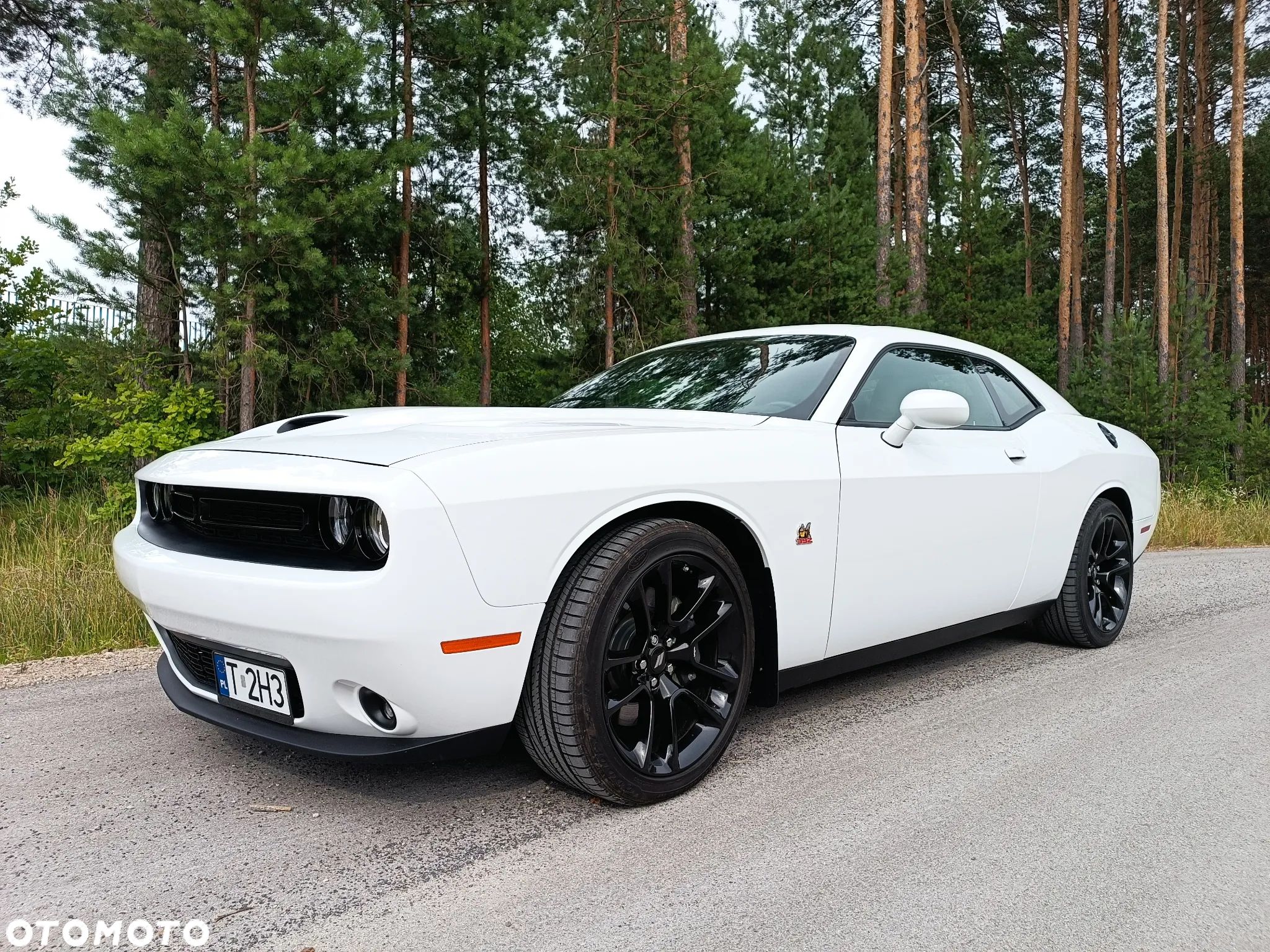 Dodge Challenger 6.4 Scat Pack - 1
