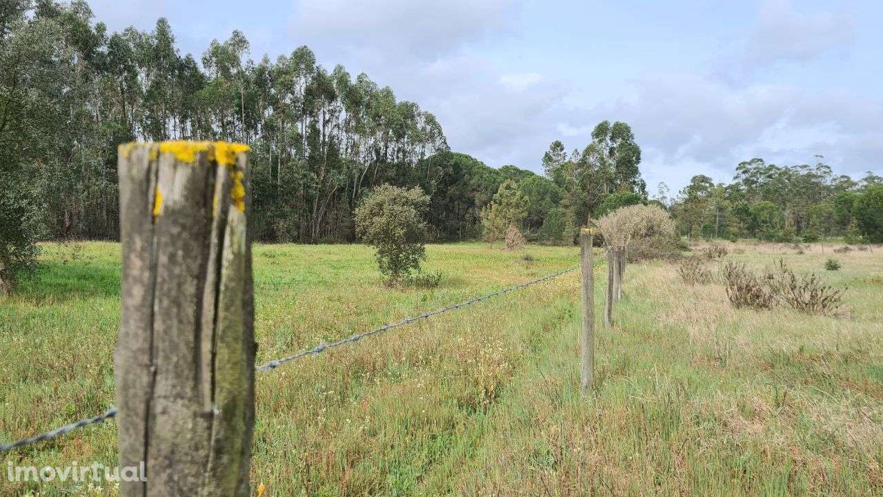 Lote de terreno rústico em Santarém - Grande imagem: 3/7