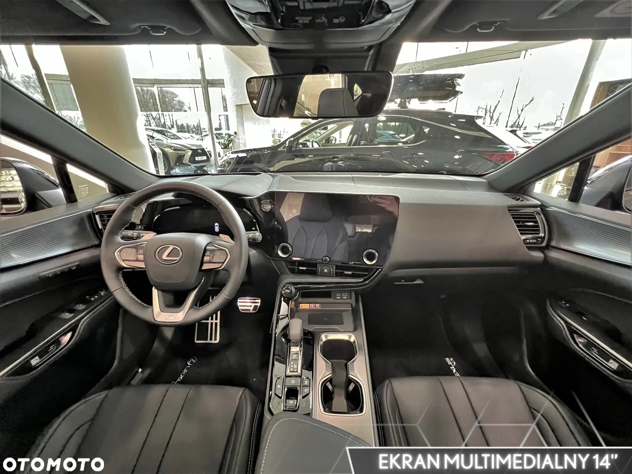 Lexus NX - 10